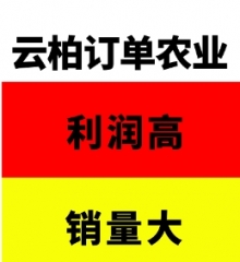 云柏订单农业